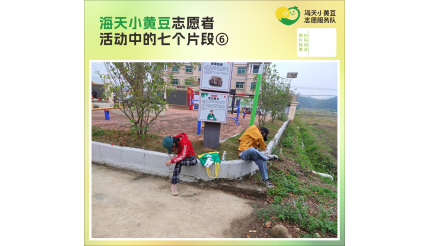 海天小黄豆志愿者 活动中的七个片段⑥