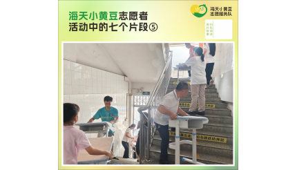 海天小黄豆志愿者 活动中的七个片段⑤